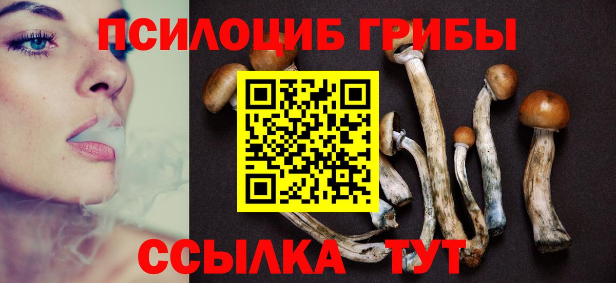 Галлюциногенные грибы Magic Shrooms  Вход с VPN  Кострома 